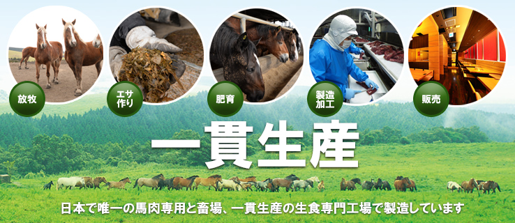 日本で唯一の馬肉専門工場 生産からと畜まで一貫生産の千興ファーム