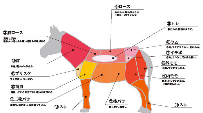 馬肉の部位について